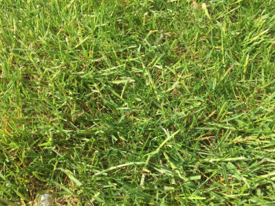 73AB0287-C8BB-4755-B165-8926CF7F0106.jpeg