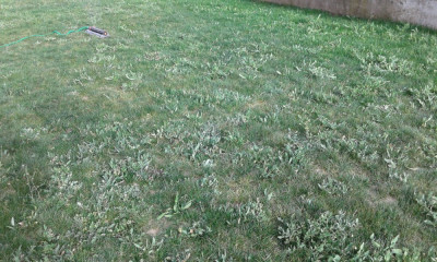 20190422_181700.jpg