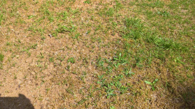 WP_20190422_11_42_16_Rich_LI.jpg