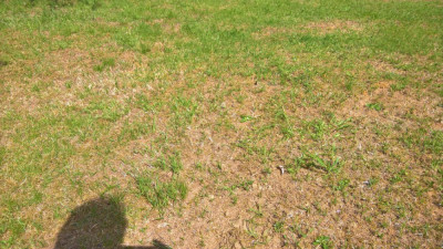 WP_20190422_11_42_18_Rich_LI.jpg