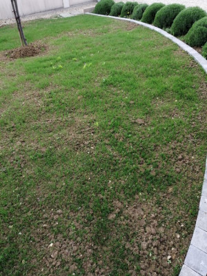 IMG_20190424_174829.jpg