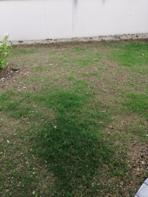 IMG_20190424_174848.jpg