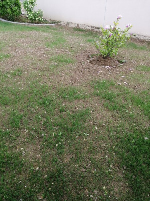 IMG_20190424_174852.jpg