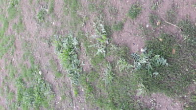 20190428_105749.jpg