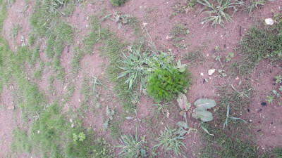 20190428_105757.jpg
