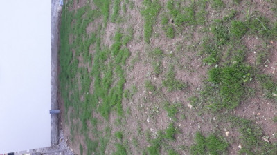 20190428_105910.jpg