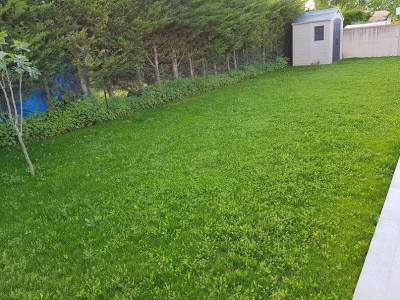 29042019_2.jpg