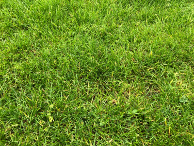 36E0B467-34E8-4003-A510-103A717C50A2.jpeg