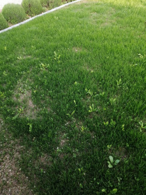 IMG_20190506_202919.jpg