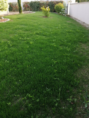 IMG_20190506_202933.jpg