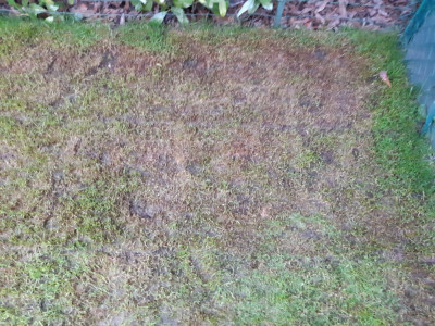 20190509_210613.jpg