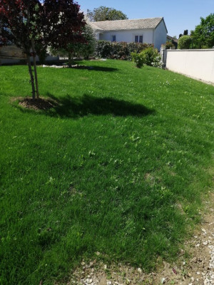 IMG_20190512_123626.jpg