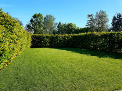 20190513_182552.jpg