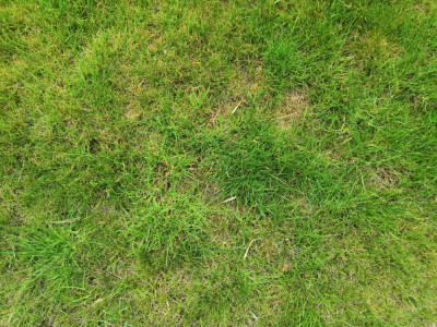IMG_20190520_155512.jpg