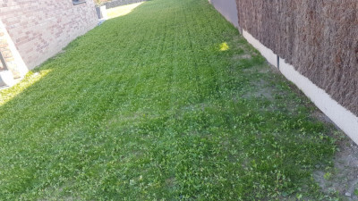20190521_190630.jpg