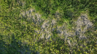 20190521_190430.jpg