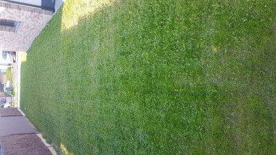 20190521_190402.jpg