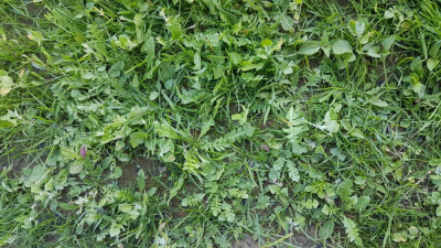 20190521_190454.jpg