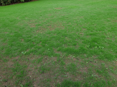 20190524_092459[1].jpg