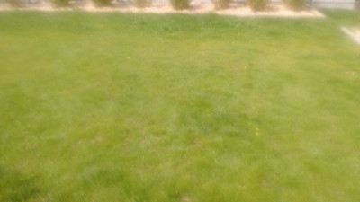 IMG_20190524_170313.jpg
