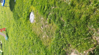 20190530_180809.jpg