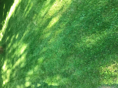 71975AA2-3E36-4735-8547-368D008797F4.jpeg