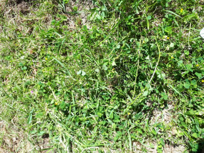 20190601_115651.jpg