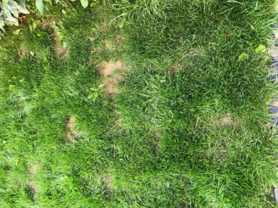 51B83578-B649-4709-82AF-CF06751A1CCE.jpeg