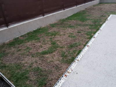 20180817_204314.jpg