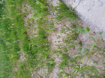 20190602_210906.jpg