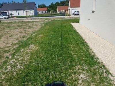 20190602_162949.jpg