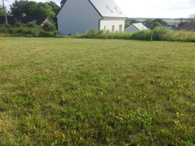 20190603_190632.jpg