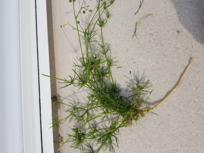 20190604_182449.jpg