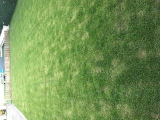photo terrain 1.jpg