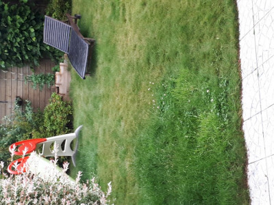 20190609_180938.jpg