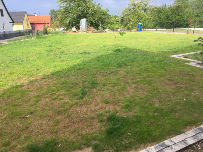 IMG_1947.jpg