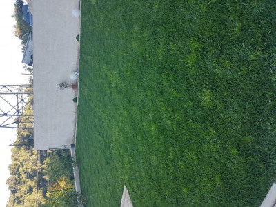 20190529_191304.jpg