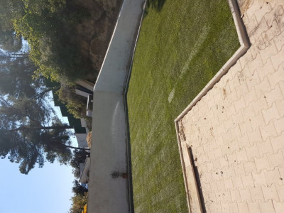 20190515_155547.jpg