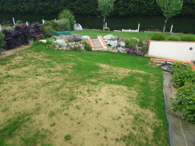 photo1.jpg