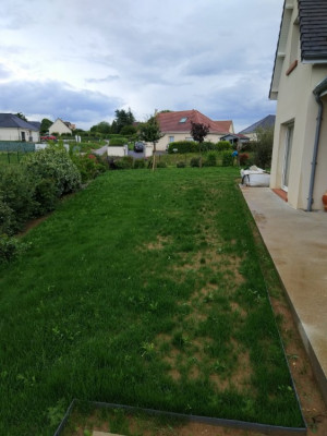 photo1.jpg