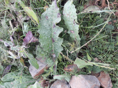 20190610_111115.jpg