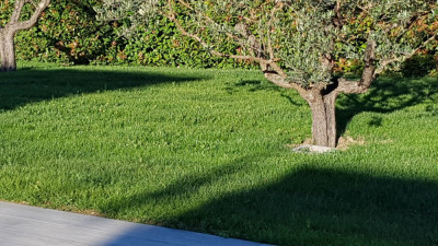 20190613_073059.jpg