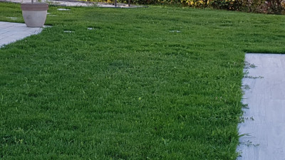 20190613_073111.jpg