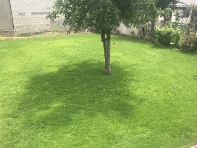 photo2.jpg