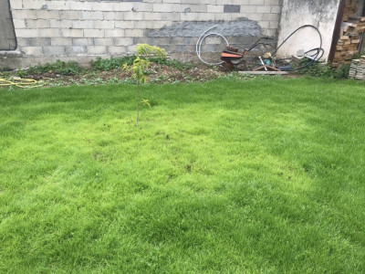 photo9.jpg
