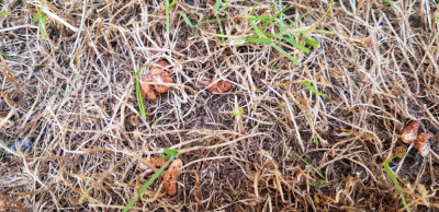 20190614_183043[1].jpg