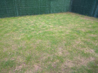 IMG_20160412_180222.jpg