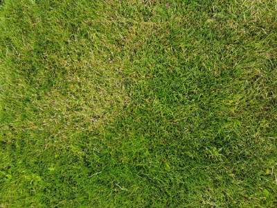 20190618_094729.jpg
