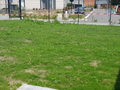 20190618_140841.jpg