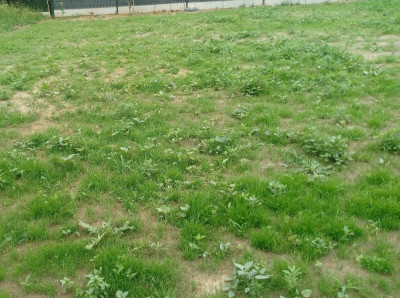 IMG_20190618_191707.jpg